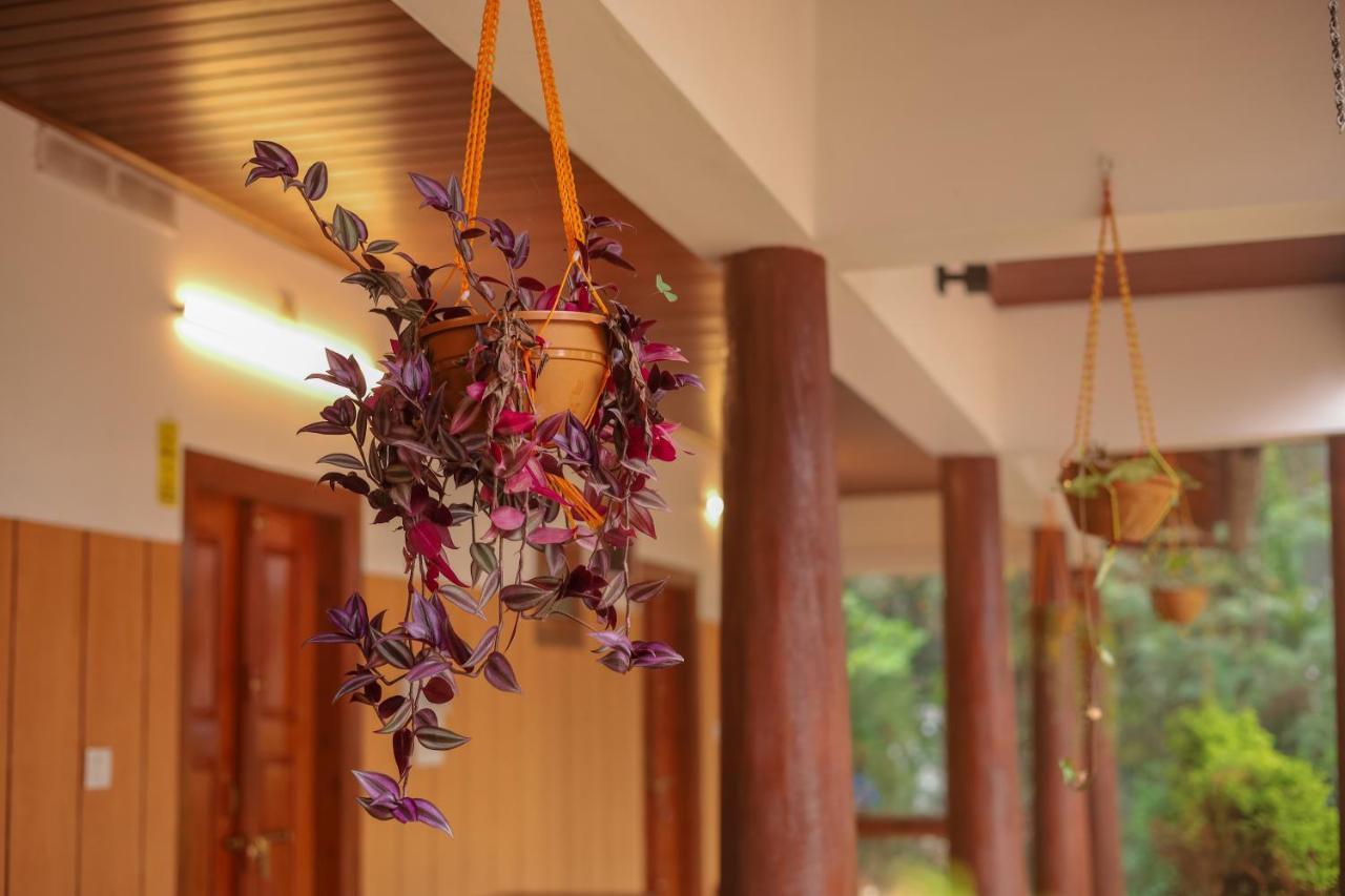 Swastha Plantation Homestay Kaniyāmbetta Exterior foto