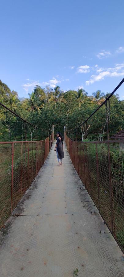 Swastha Plantation Homestay Kaniyāmbetta Exterior foto